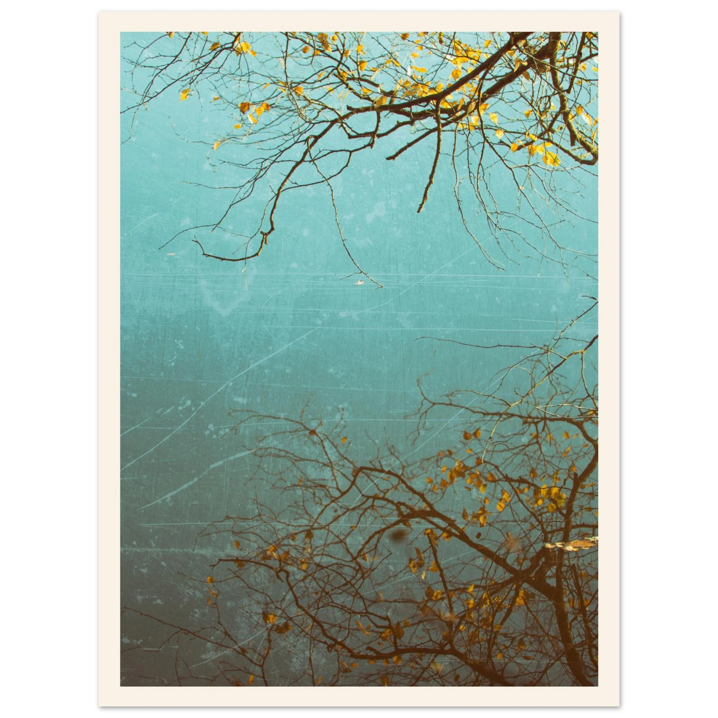 6f160d0f-5526-40b7-bc58-c5cc67332fe2