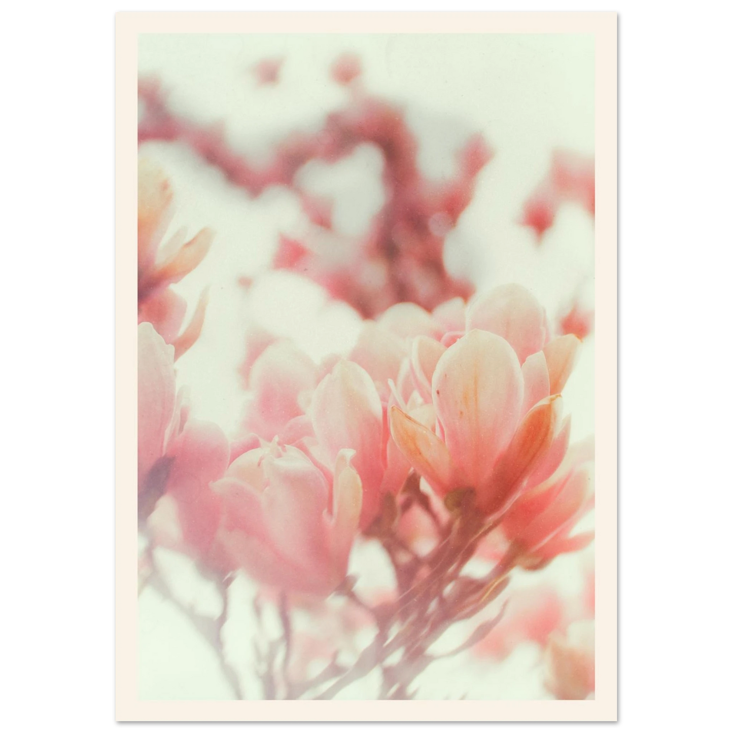 c590b427-2f04-4805-a533-6dfa293147f8