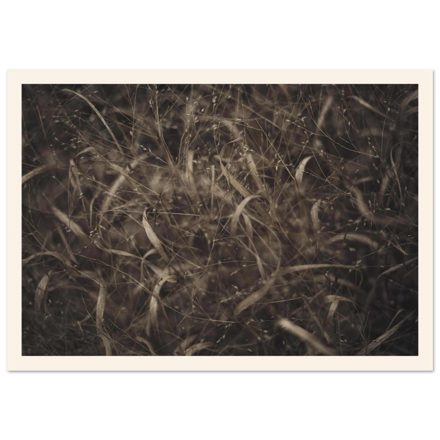 03786d7a-f2ba-43b8-8e06-0b37cc6e20d1