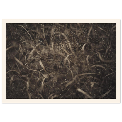 03786d7a-f2ba-43b8-8e06-0b37cc6e20d1