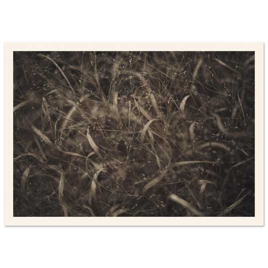 03786d7a-f2ba-43b8-8e06-0b37cc6e20d1