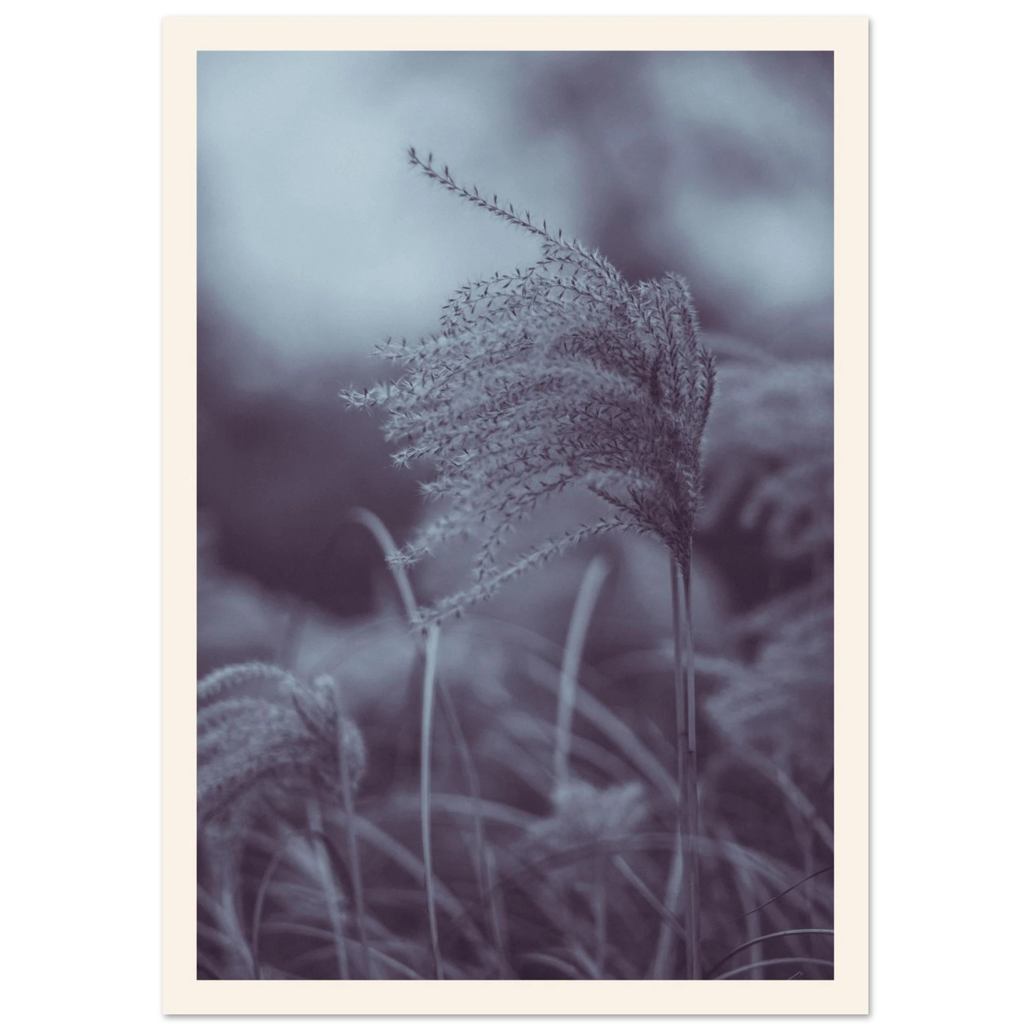 06a7543c-55b7-4d4a-adf4-27e9fd4558f5