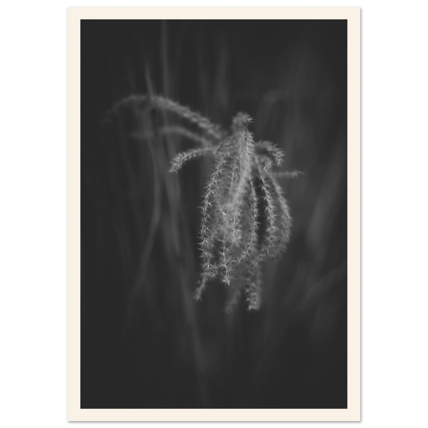 0df72436-7dd1-4aab-8b8a-d3c8492a833b