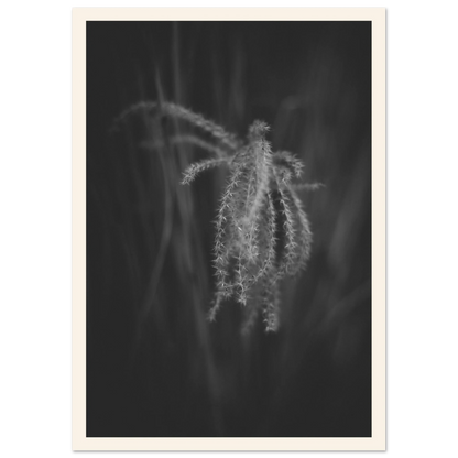 0df72436-7dd1-4aab-8b8a-d3c8492a833b