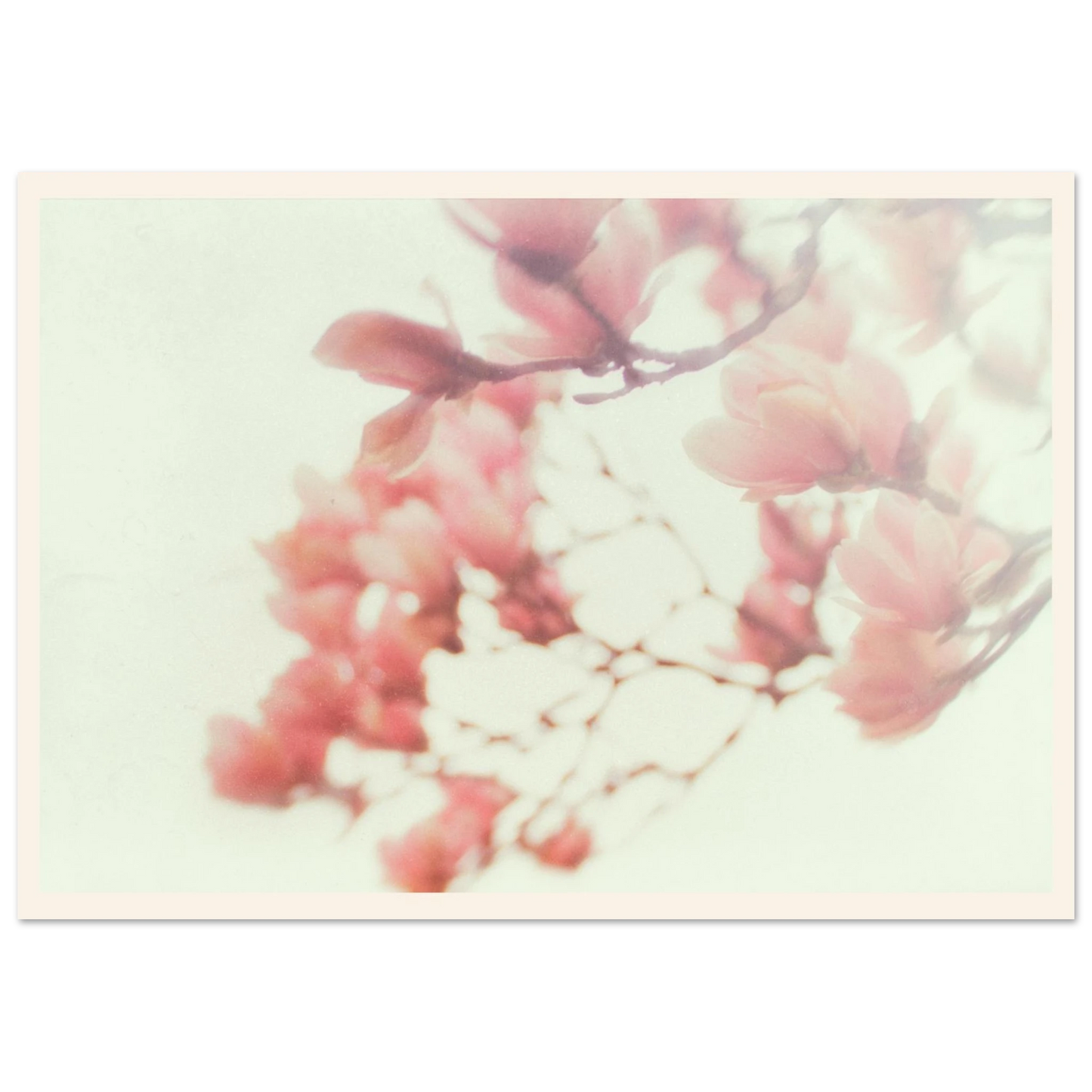 1e72847e-db57-4405-9f7e-83e50b5df912