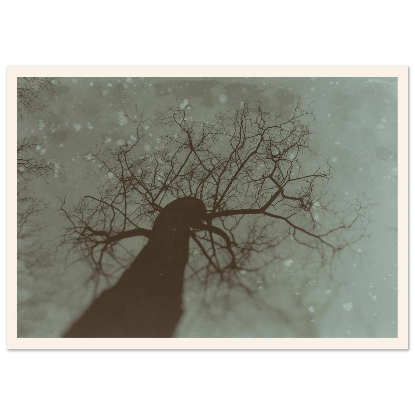2a8bb6fa-2805-41f8-a201-1c55d7f7f089