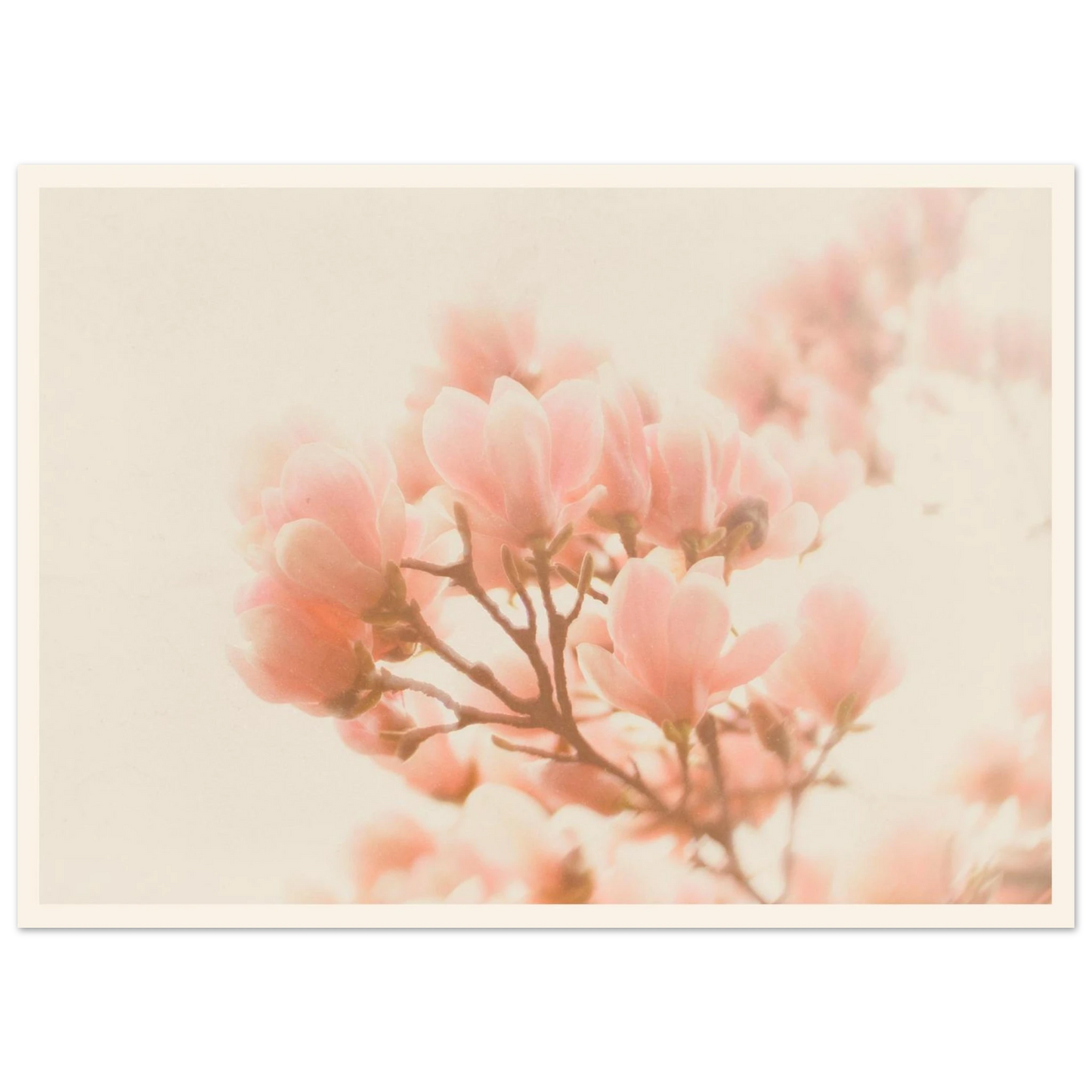 2b1dd421-3485-4a17-93ef-38a56dadb1d8