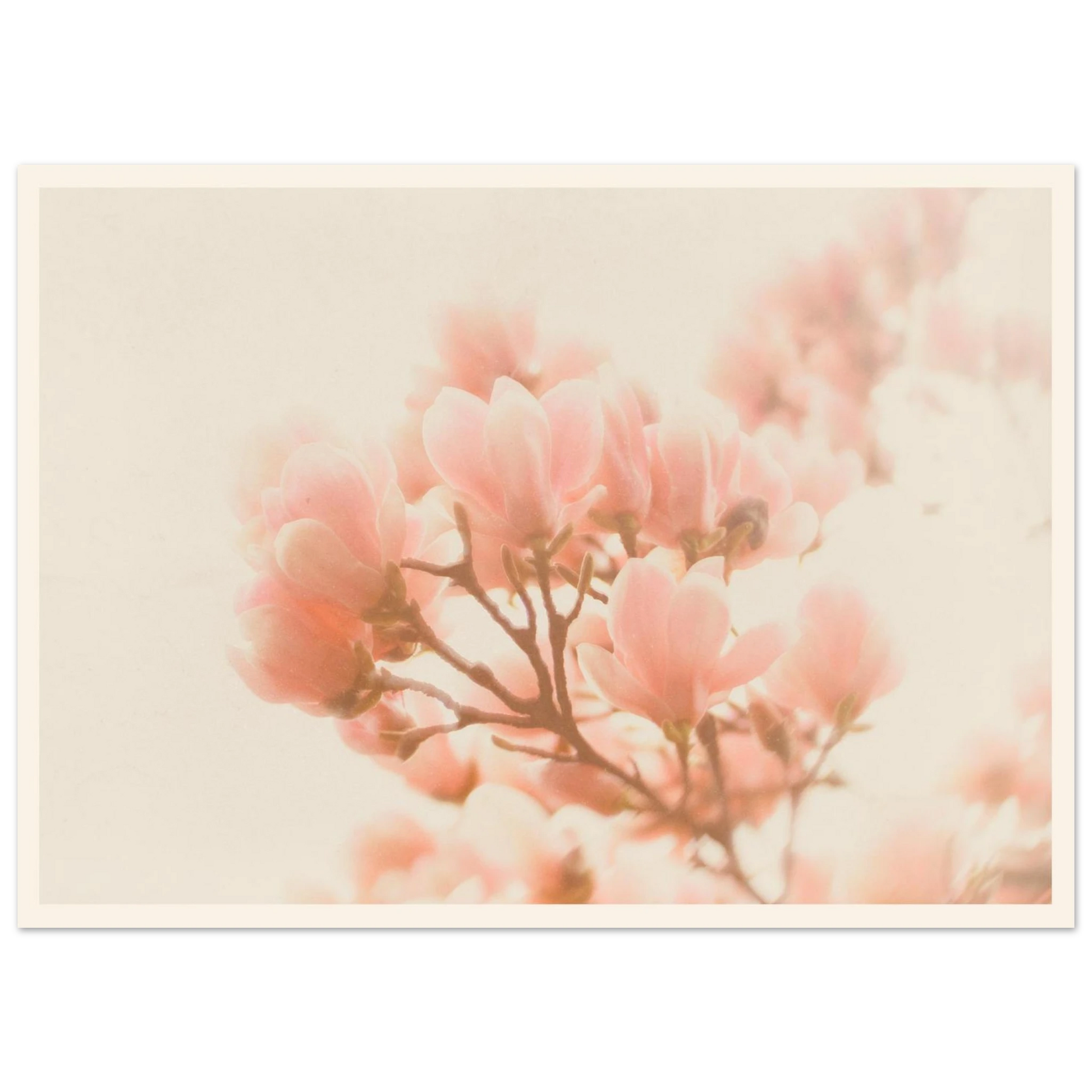 2b1dd421-3485-4a17-93ef-38a56dadb1d8