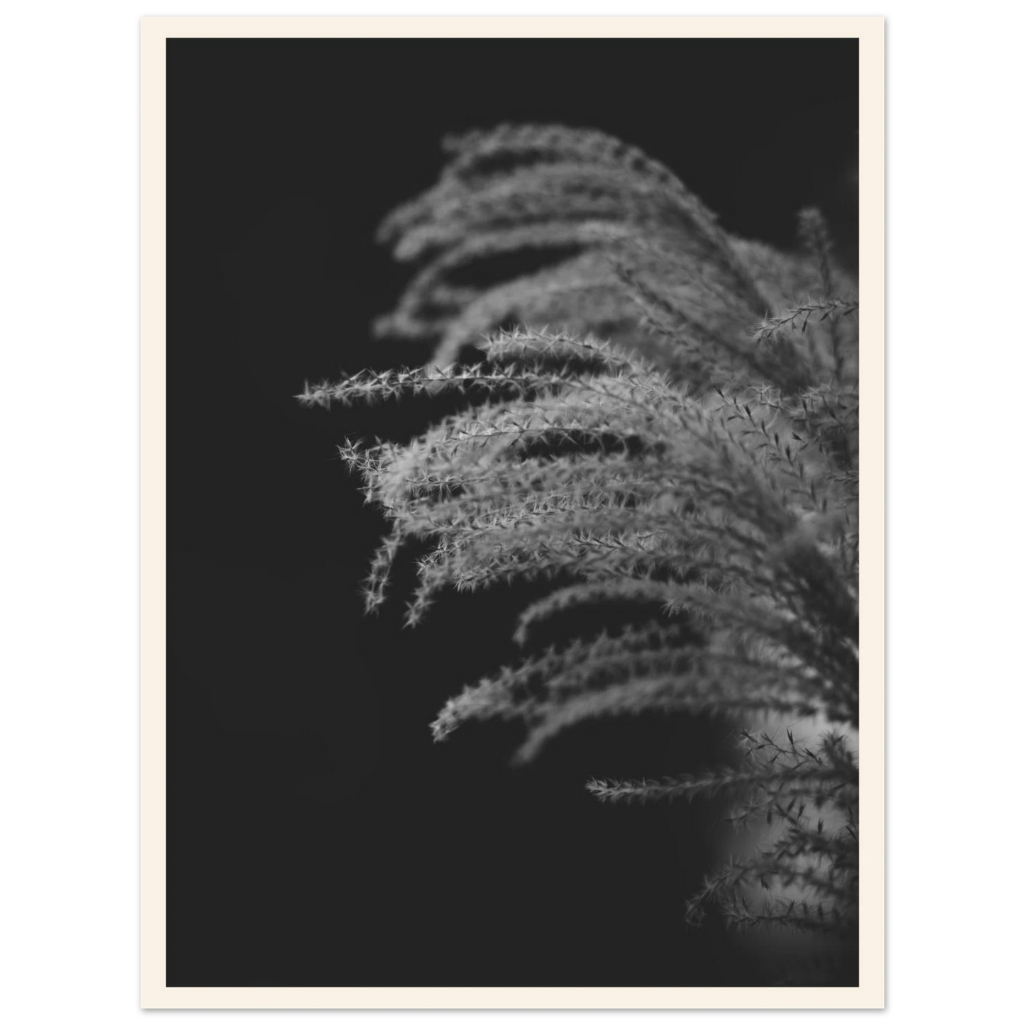 4225dfff-9ff1-4d09-8388-bf26321d2c24