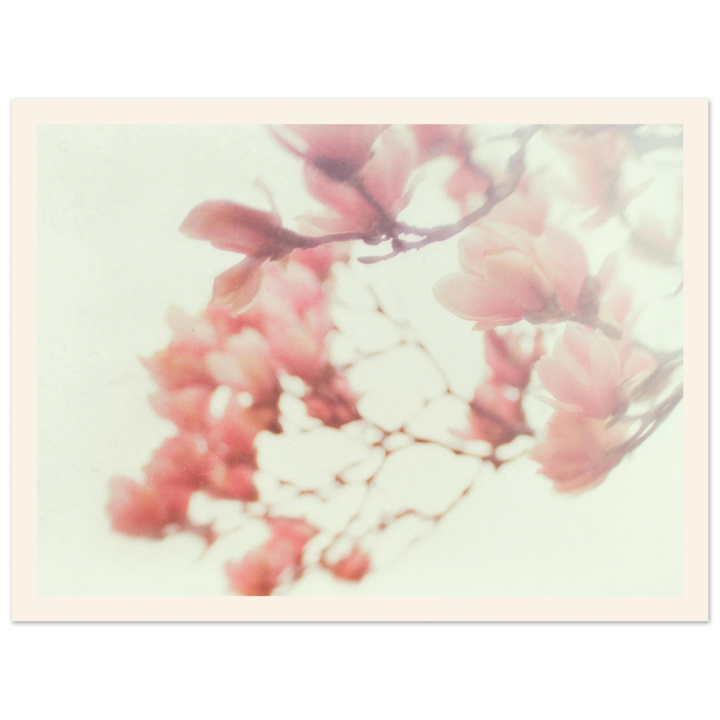 4b020e10-3738-4b48-b807-b2e8fd49b62c