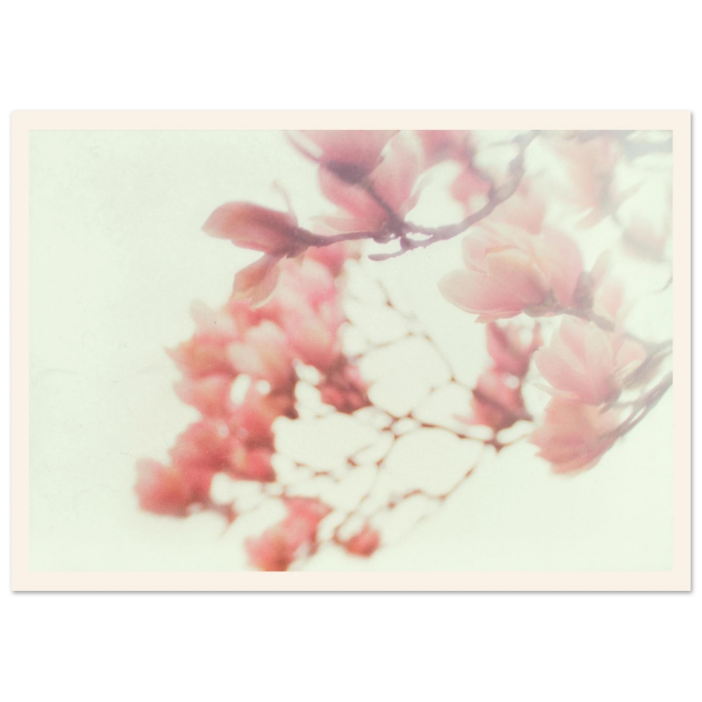 5d9588dd-81ce-419d-beb3-33ca245ef089