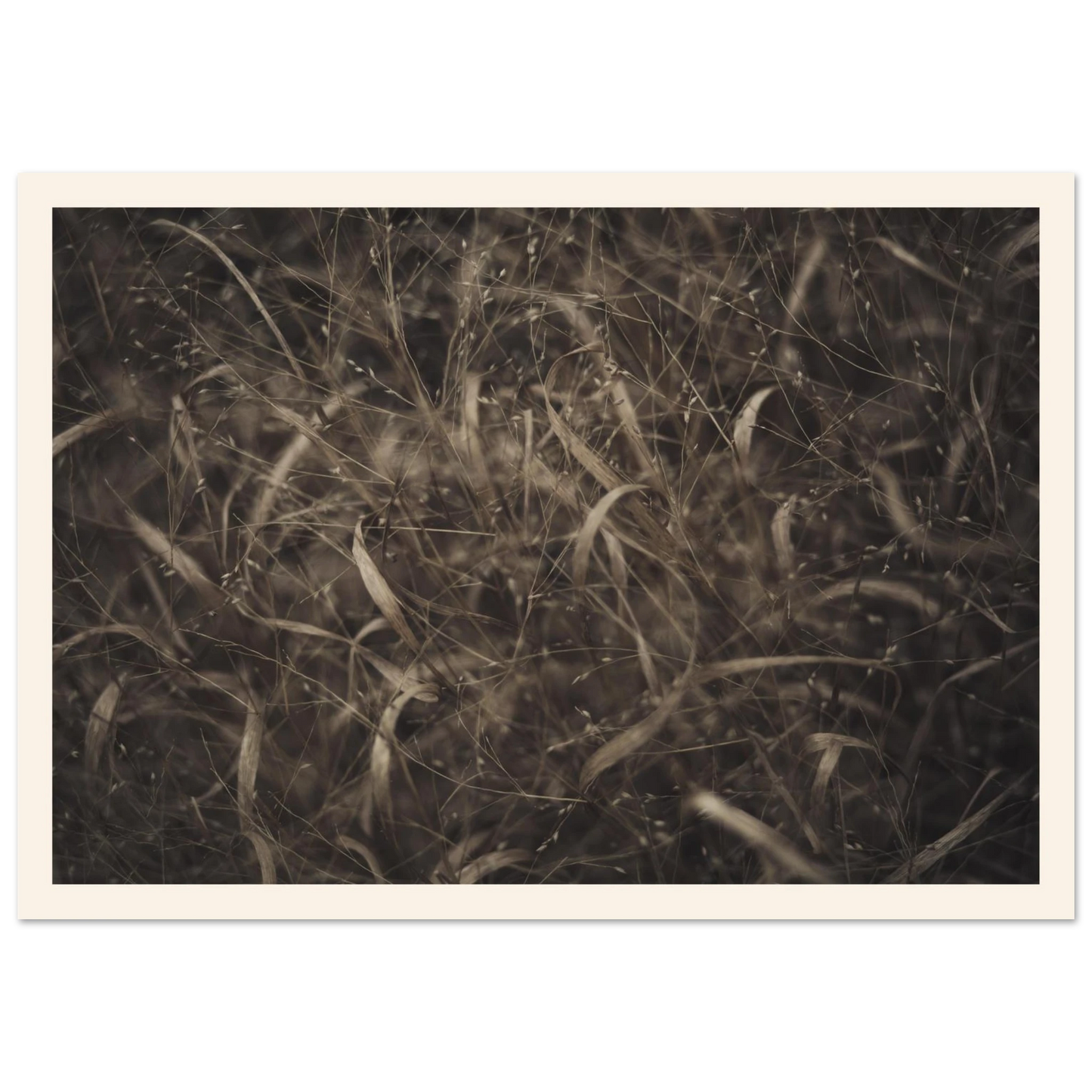 5f2c02c6-e207-45a8-936b-a4e7b0b6a7a3