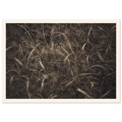 5f2c02c6-e207-45a8-936b-a4e7b0b6a7a3