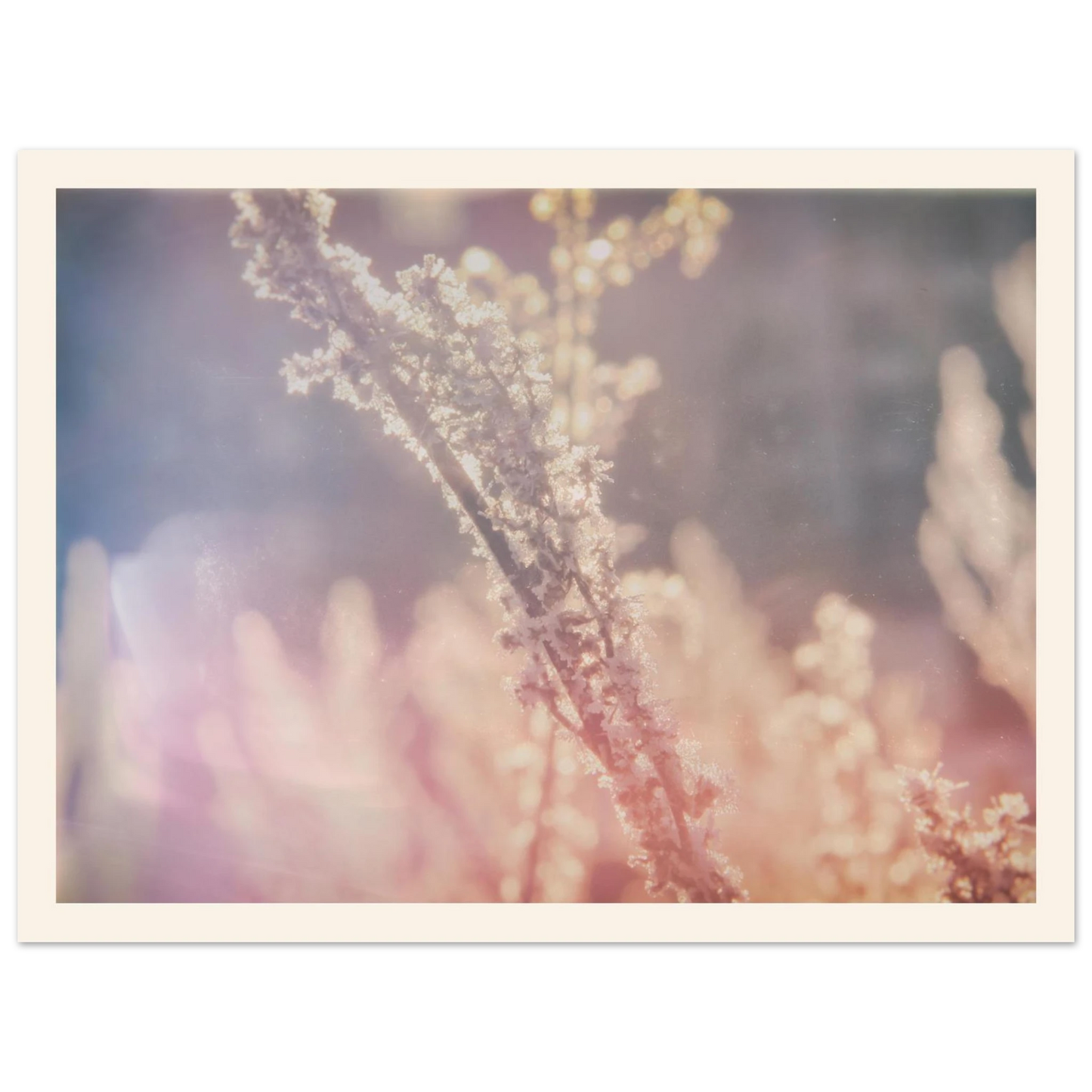 5fa6f91c-3ba9-48f5-9053-d43f7dbaae47