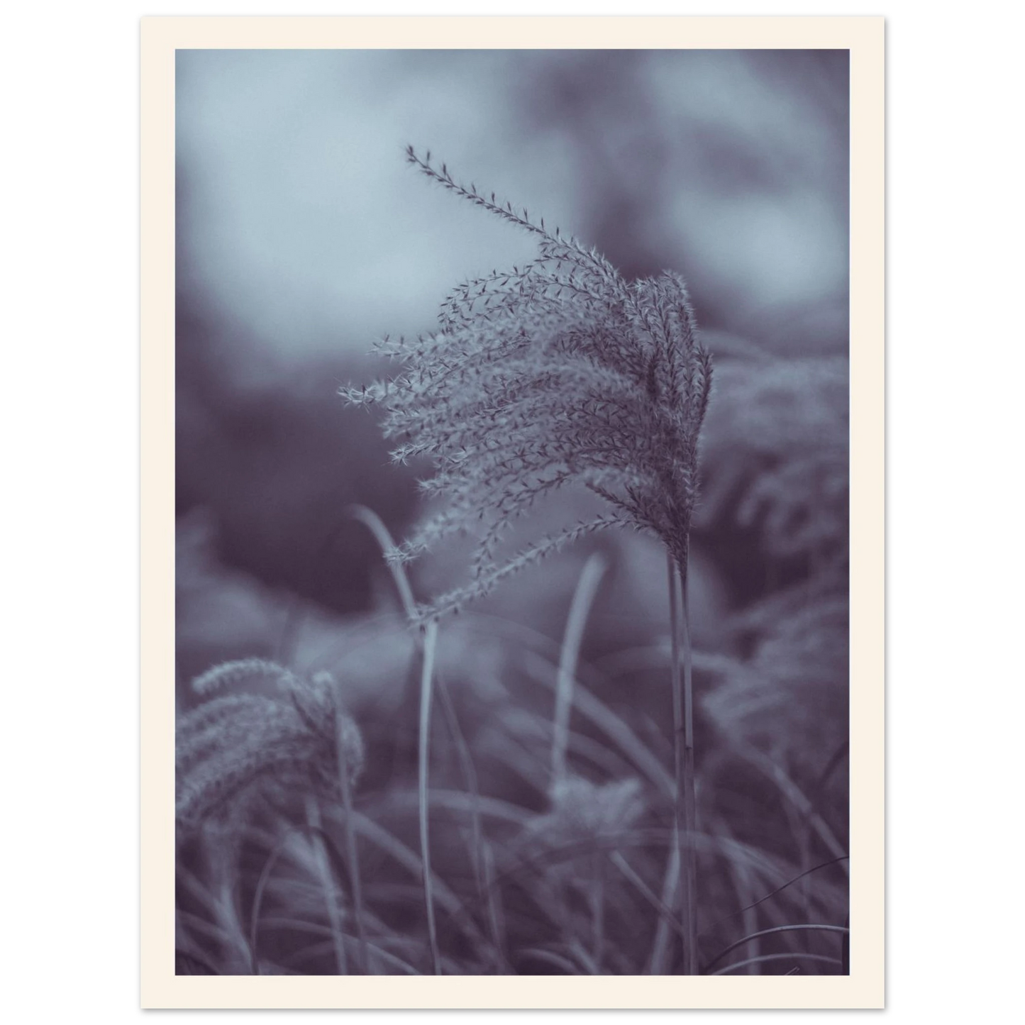 6d832c95-4e3d-4e40-9ff2-6bdcde0e8254