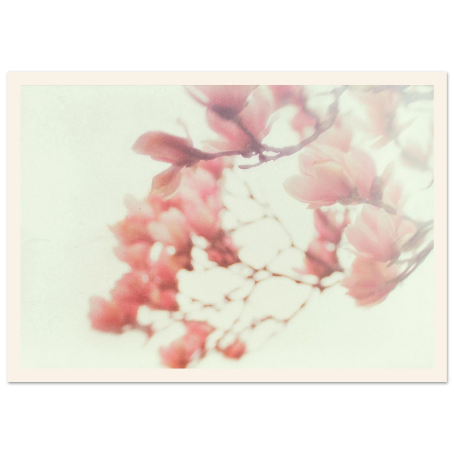 6d890322-6409-456c-ad1a-a8f6684d3578