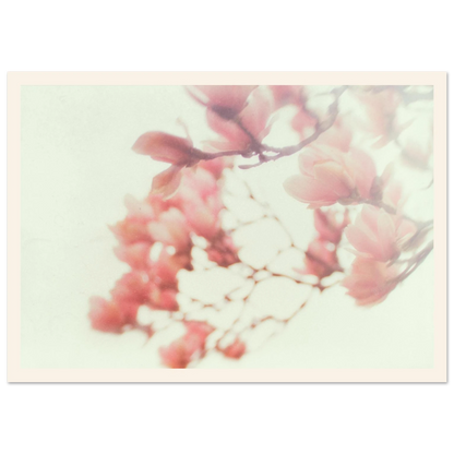 6d890322-6409-456c-ad1a-a8f6684d3578