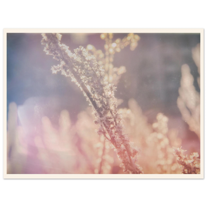 78f5f716-2a01-4d75-9090-dc94afa723b9