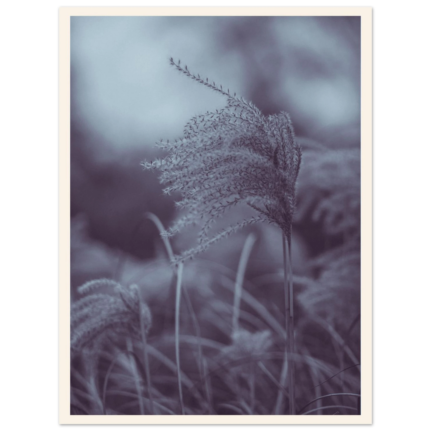 7d433614-b0b7-4eae-906e-7a437dadb121