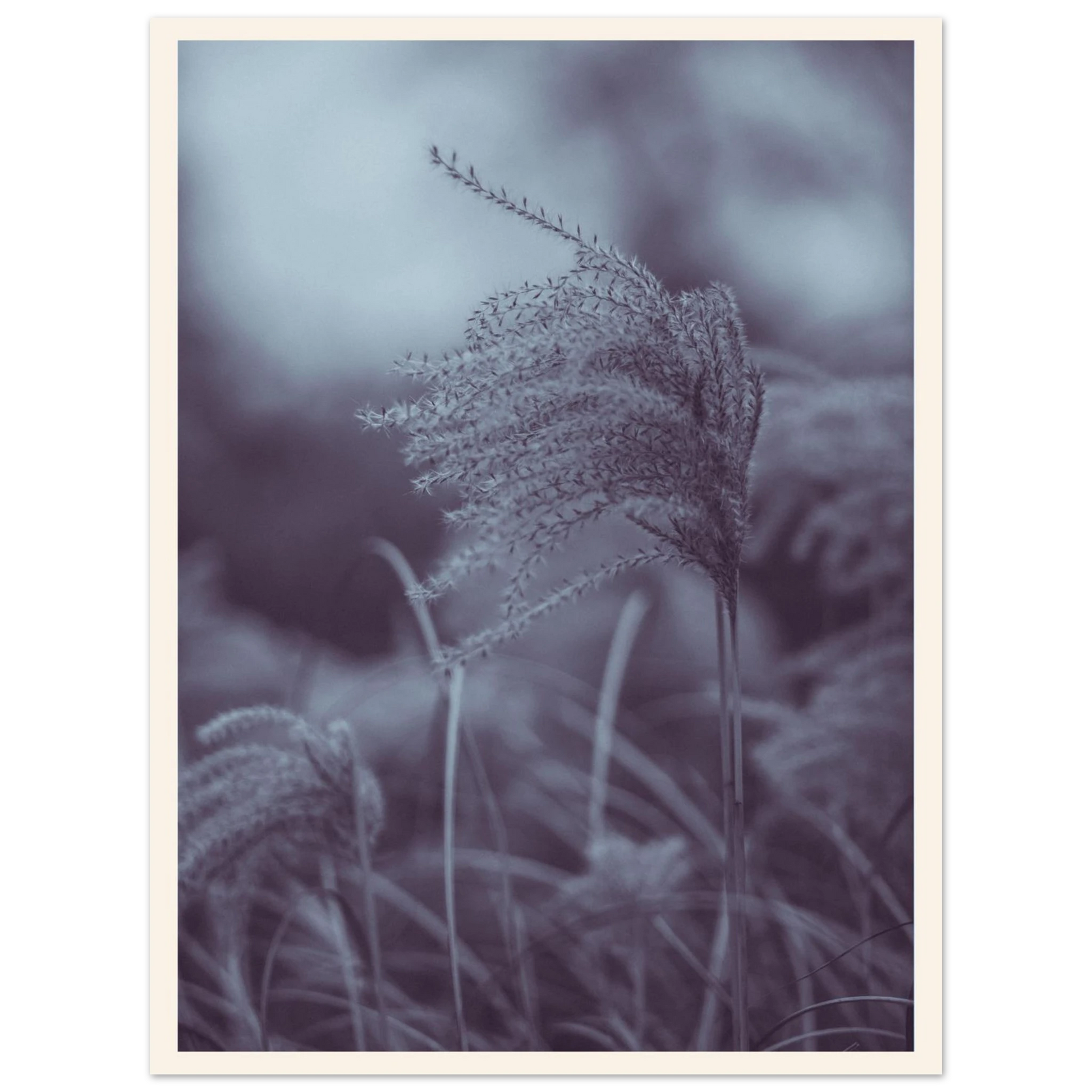 7d433614-b0b7-4eae-906e-7a437dadb121