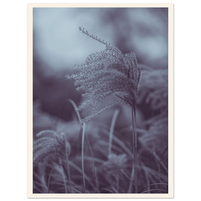 7d433614-b0b7-4eae-906e-7a437dadb121