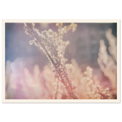 8e5fb6ea-56bb-4870-bf06-1b4e8fb5273d