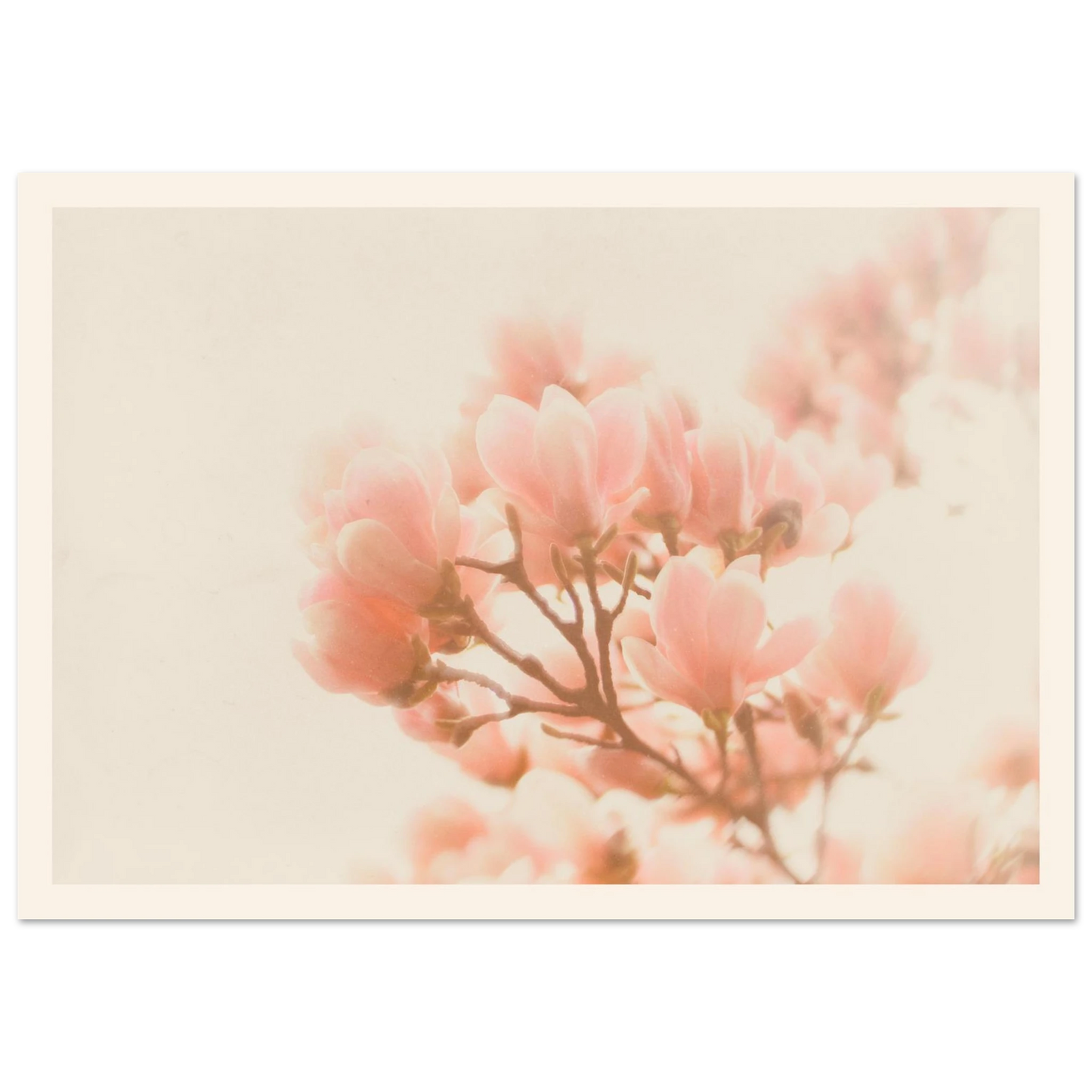 8fd3cf7f-5695-4ed0-b811-76610dfd4195