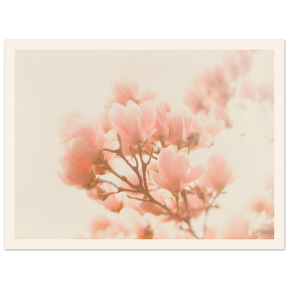97202d03-0b59-4fa9-a9d0-c2fb3e5591e9