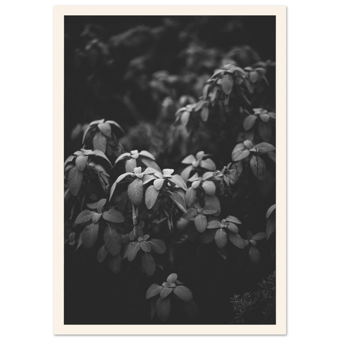 a954b667-6e09-4d19-b7ab-d0c17d2b72bb