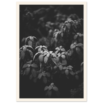 a954b667-6e09-4d19-b7ab-d0c17d2b72bb