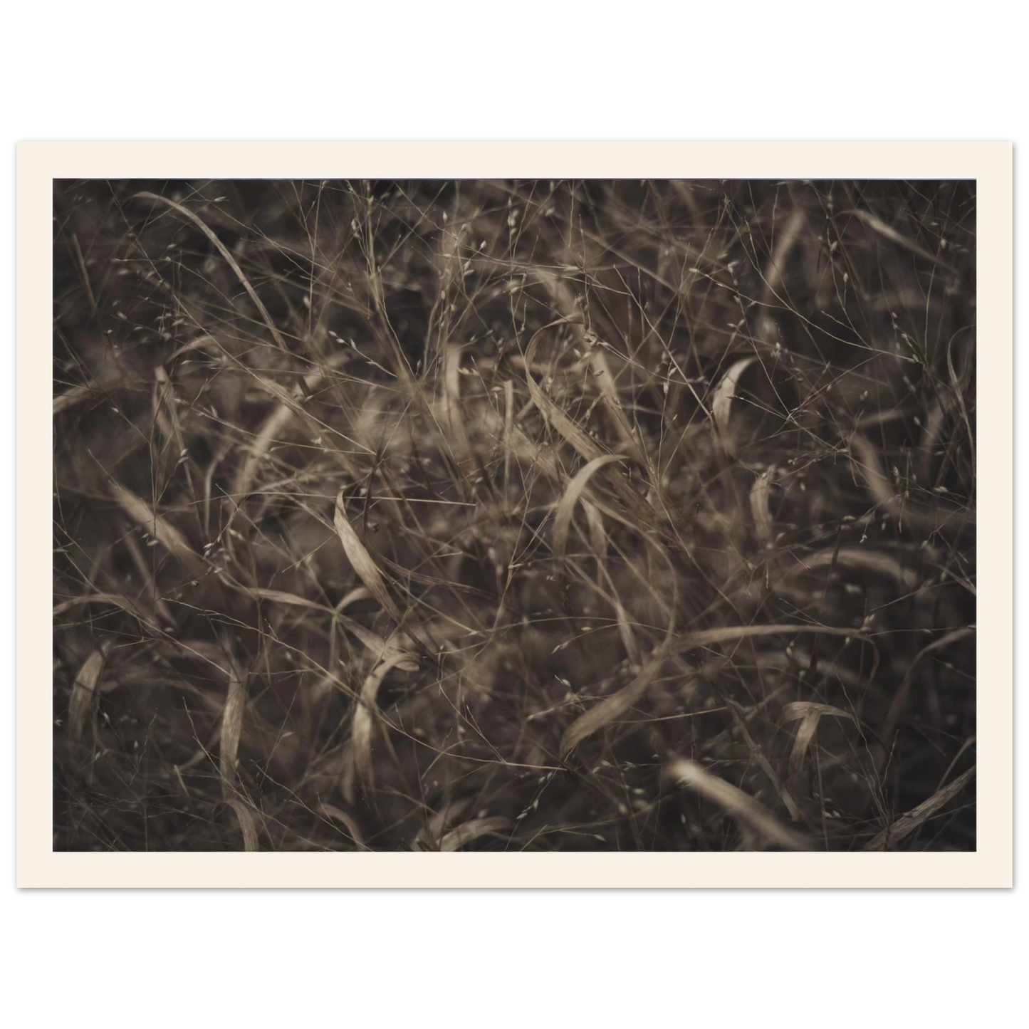 ae664049-080c-4121-accf-1e0b11167037