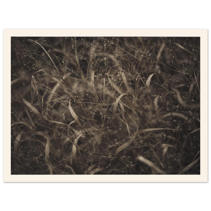 ae664049-080c-4121-accf-1e0b11167037