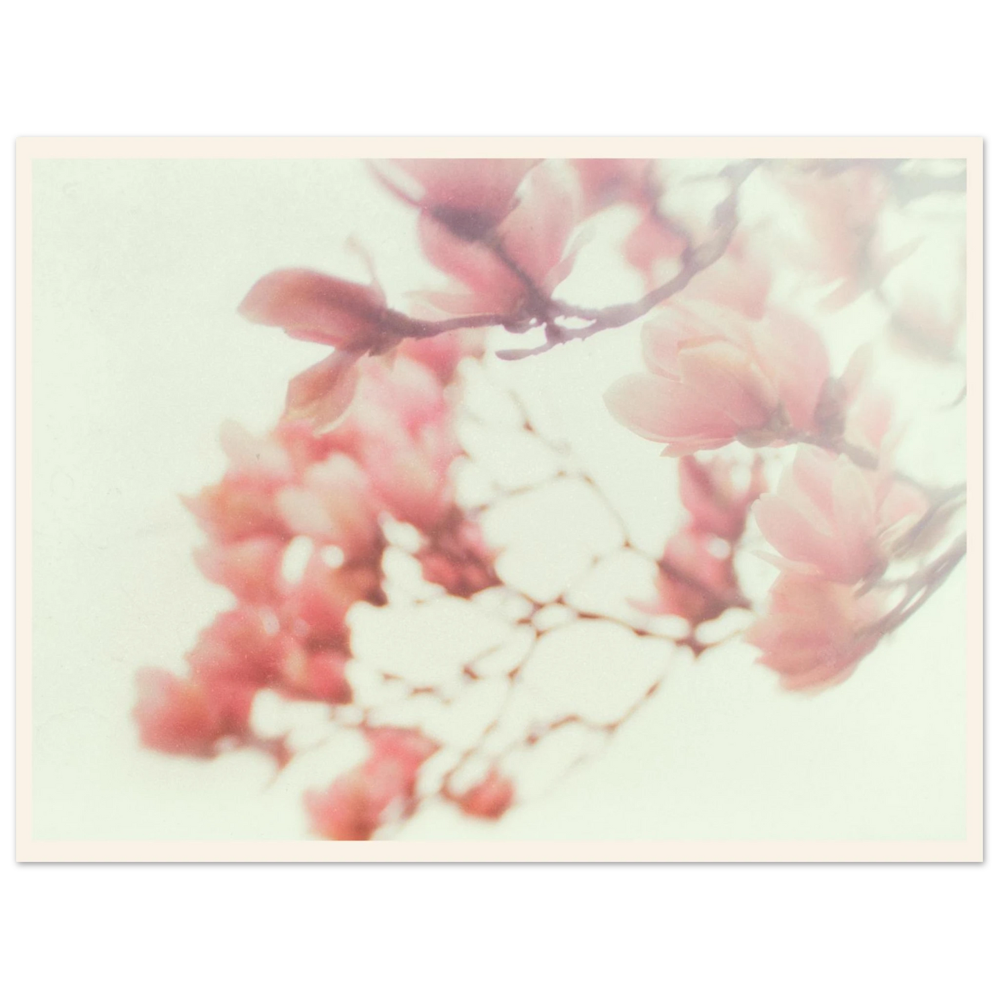 b594b85a-1ca7-4368-bf11-c228c96c882b