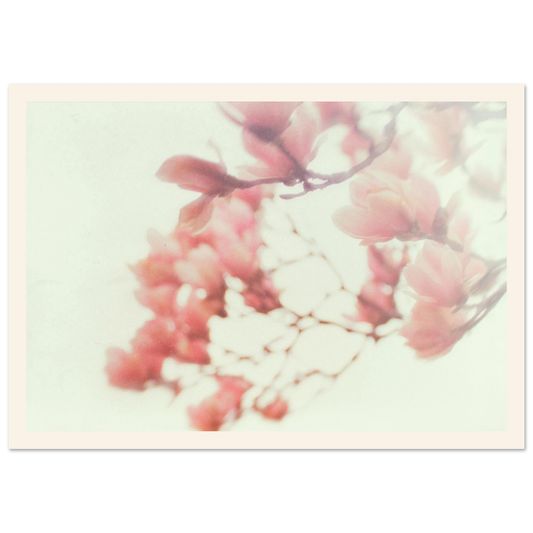 b5fb49ab-f0ec-4766-83f6-1cd53db26f06