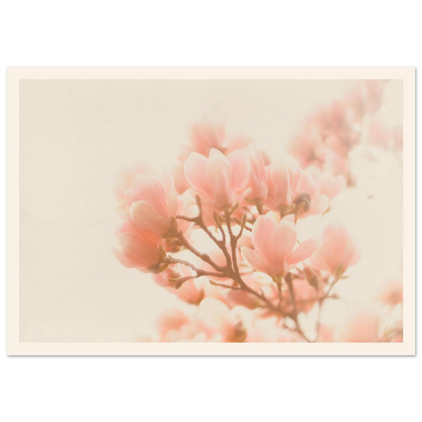 bbf012a8-fd0d-4665-b69b-a873d3372c37