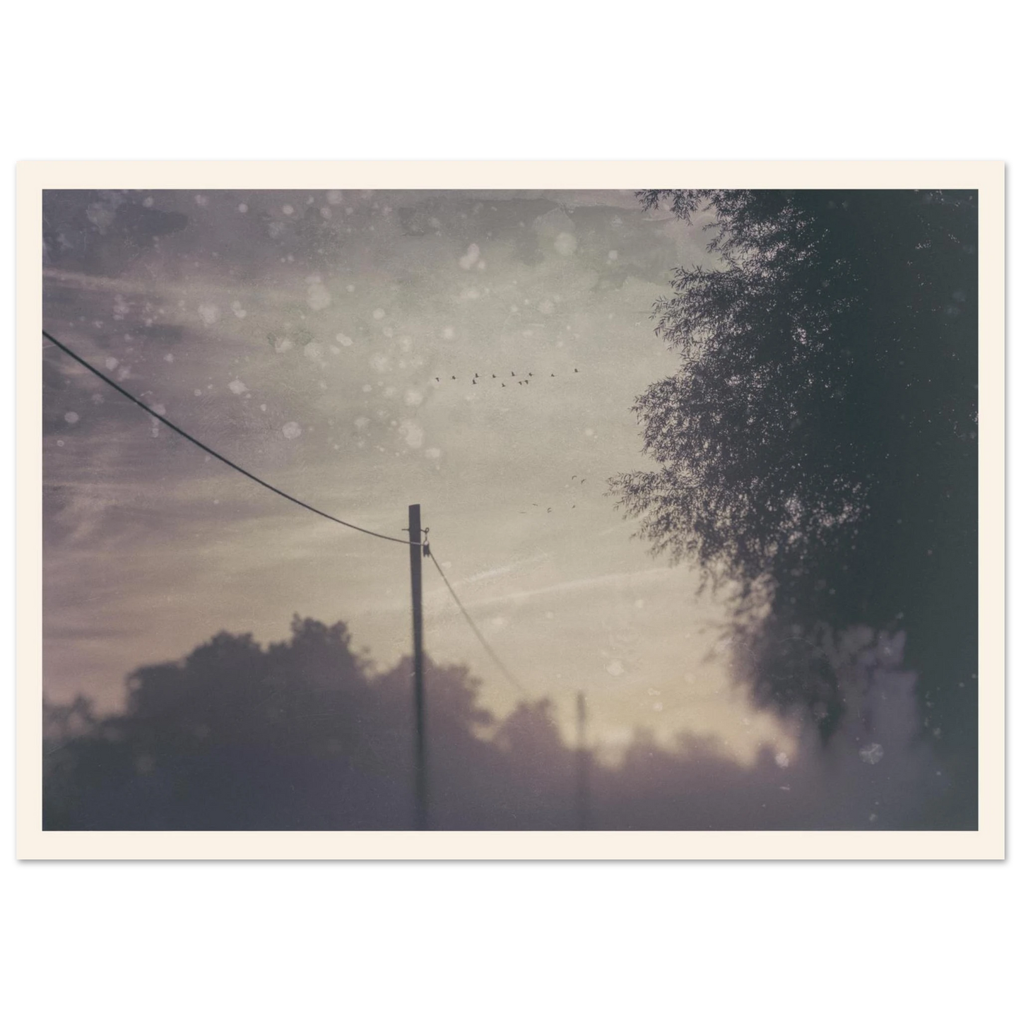 c1b4f4ff-28fb-4004-9bab-7eaecfd0974d