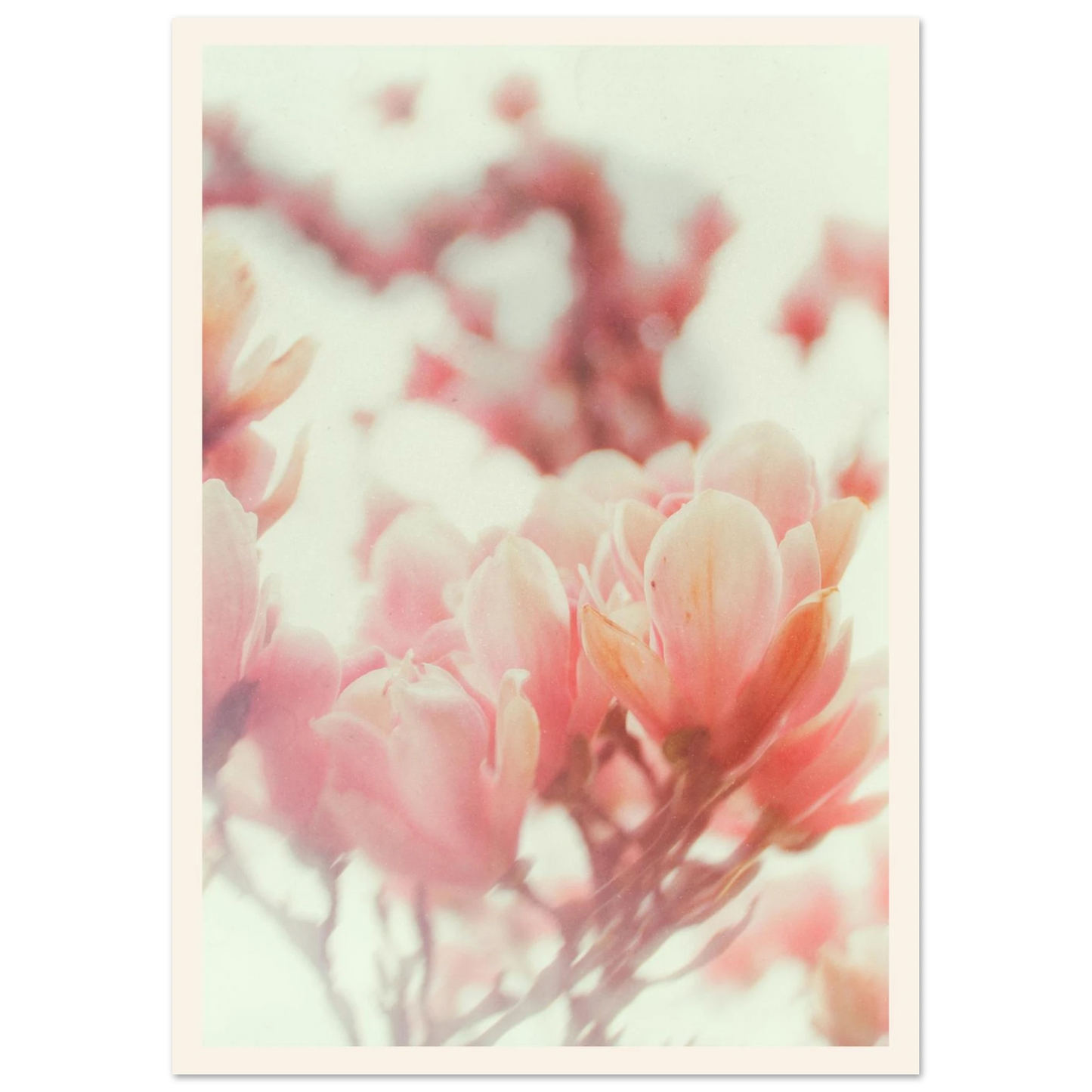 c1e26fd2-f7fb-42c4-980c-36f5ea6679c9