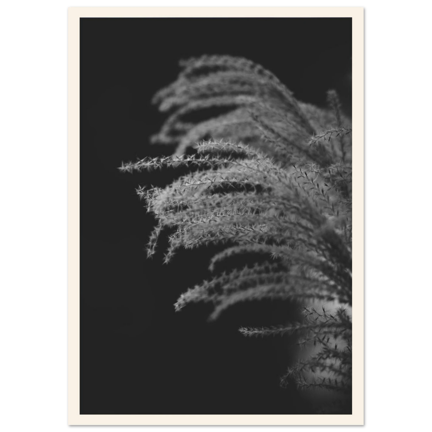c2ac6ae0-2405-4af2-9ca1-d16d05f32298