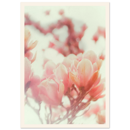 c590b427-2f04-4805-a533-6dfa293147f8