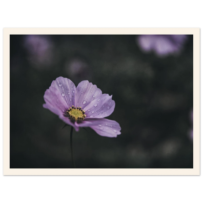 c79993fd-0220-4a67-be78-37e00393f758