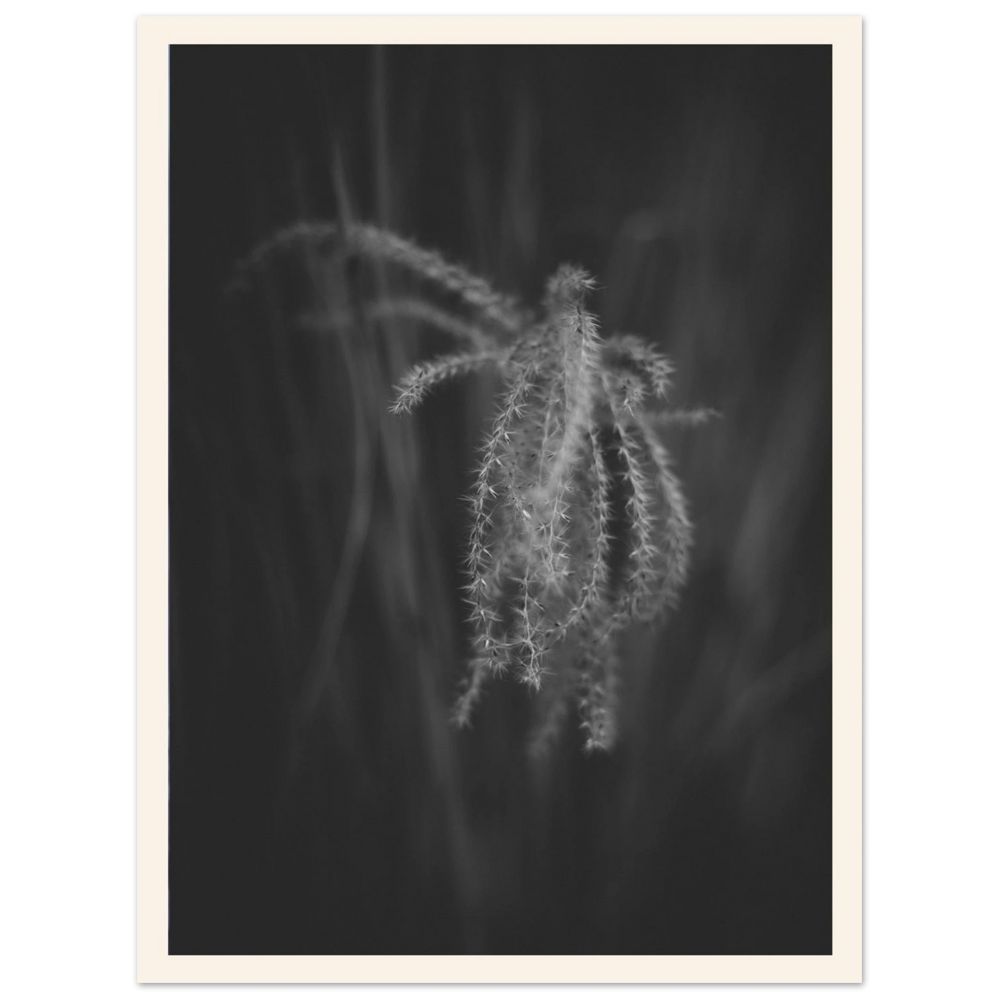 d2638ef7-2df5-4230-85fa-c9b4a791a6d0
