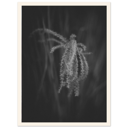 d2638ef7-2df5-4230-85fa-c9b4a791a6d0