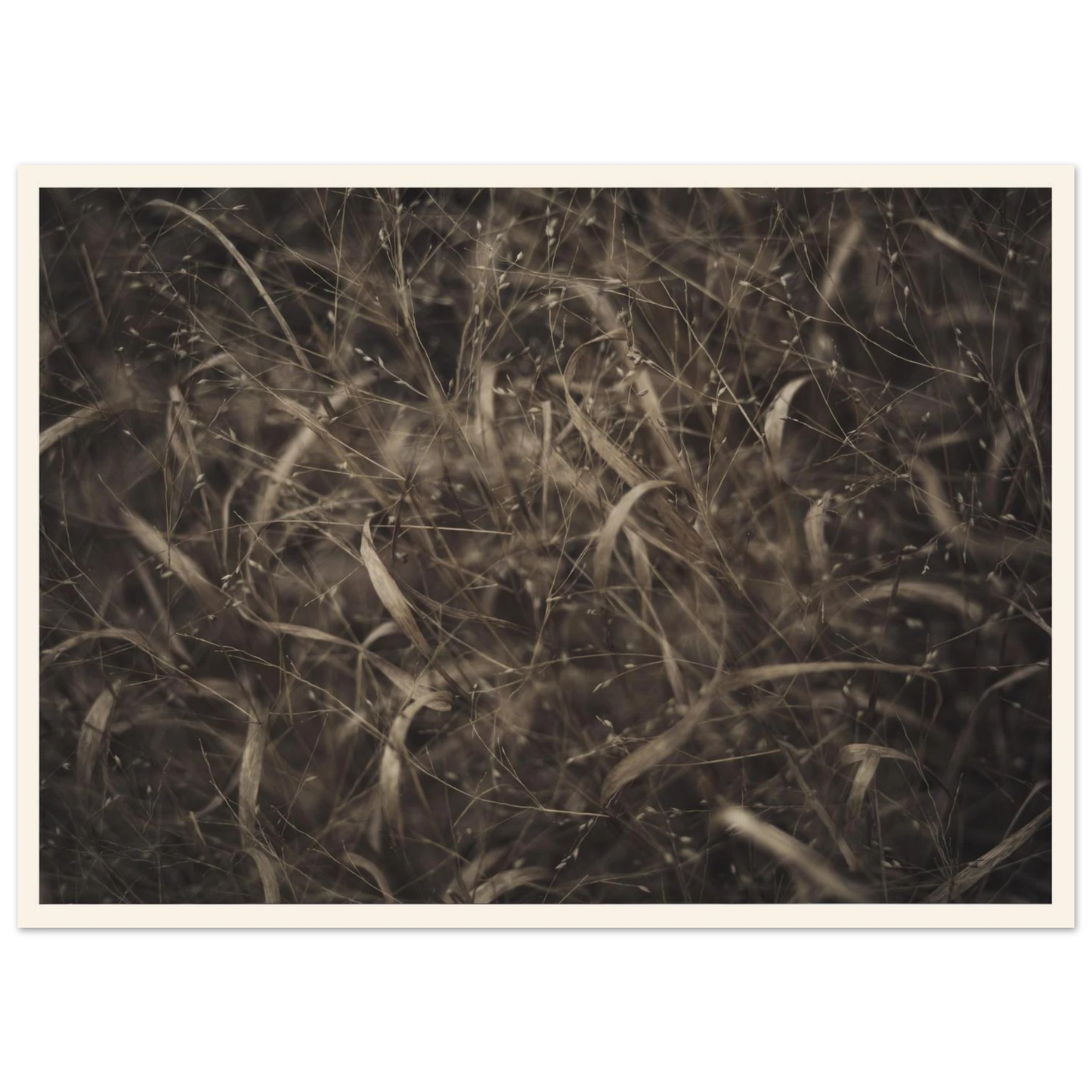 d29580df-a7e1-4f37-abd7-5d2637f55f9c