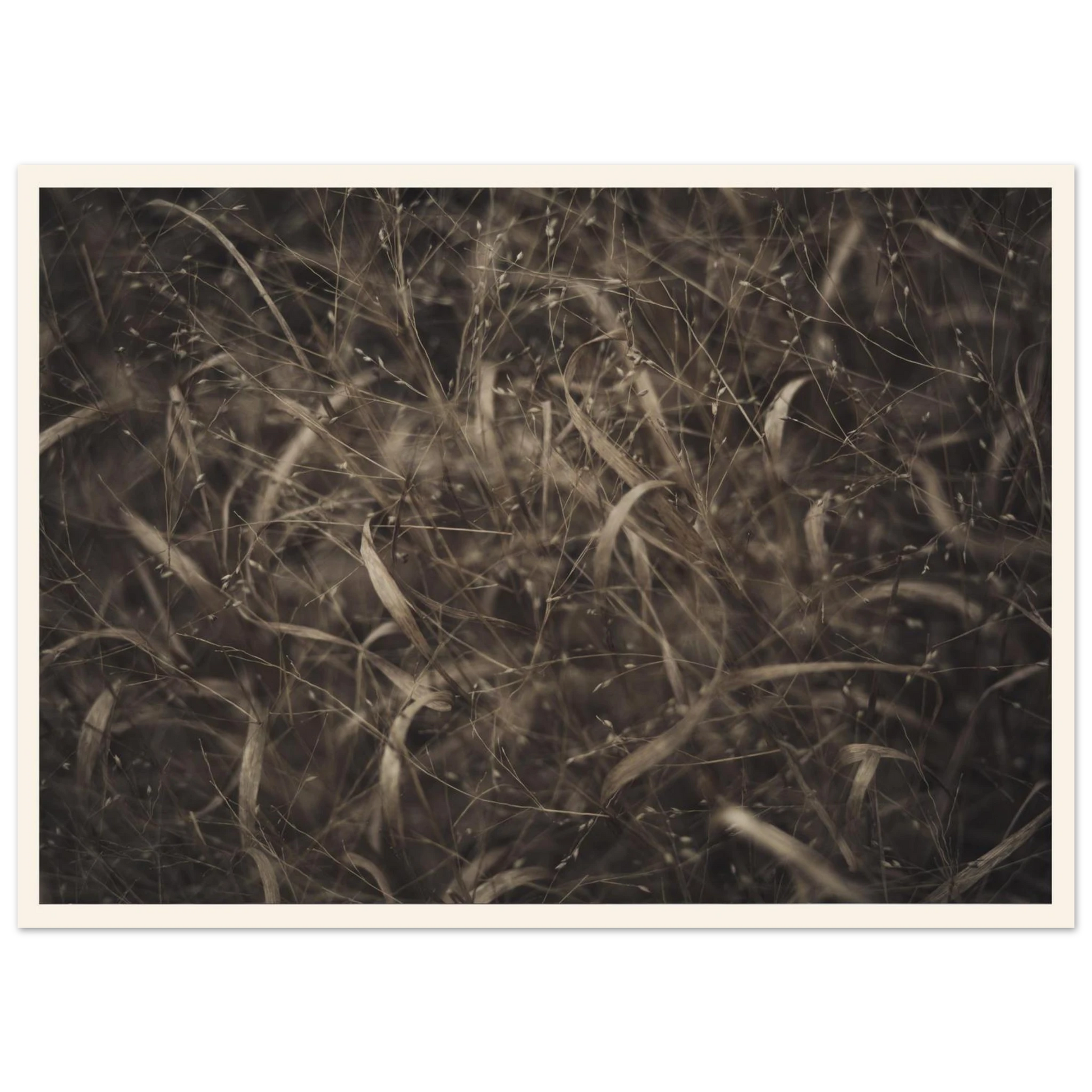 d29580df-a7e1-4f37-abd7-5d2637f55f9c