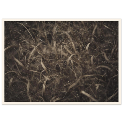d29580df-a7e1-4f37-abd7-5d2637f55f9c