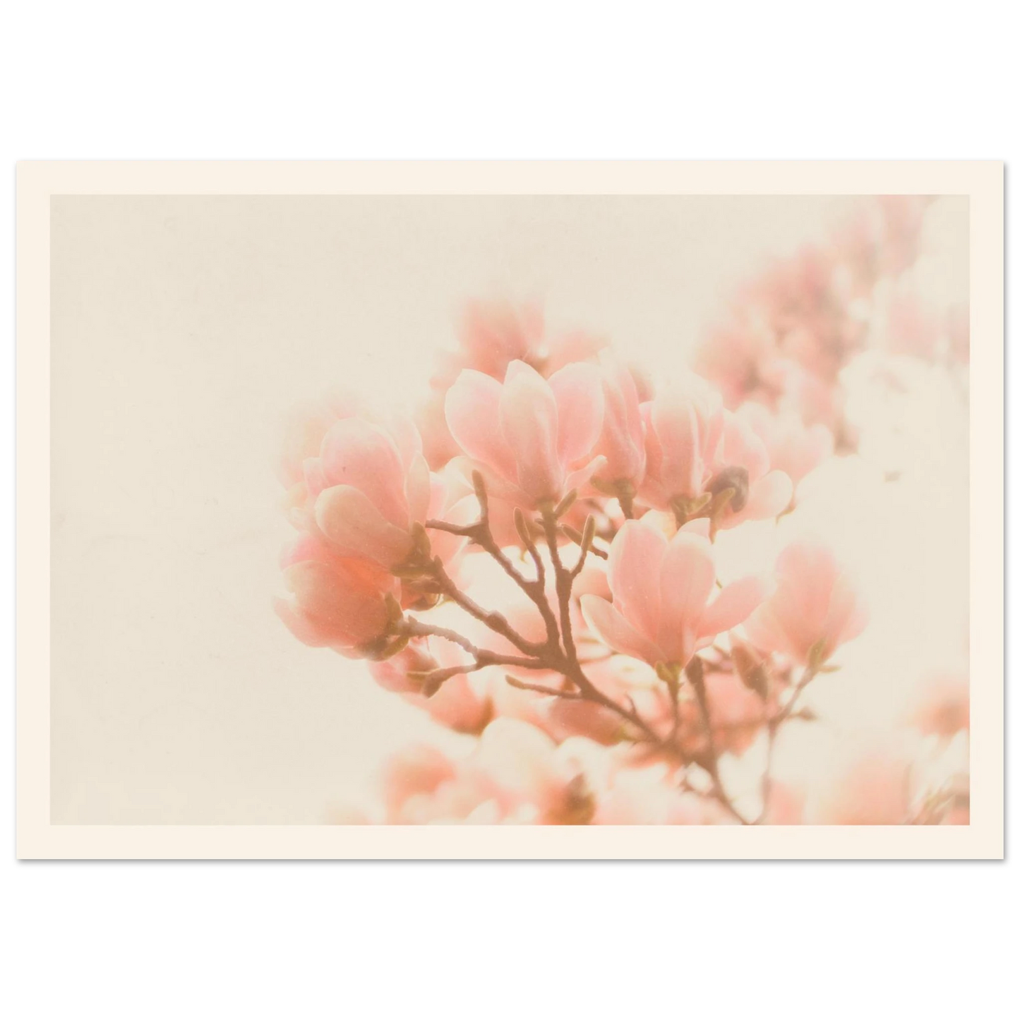 d7b394a6-98ca-4331-9807-c9bb2feceae9