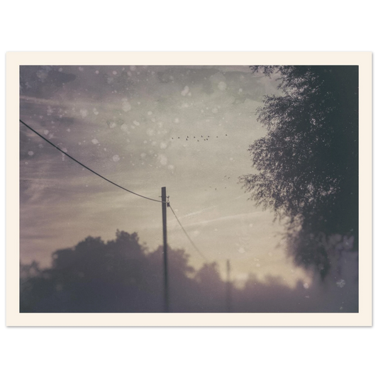 dd44a7fc-c04c-45d6-8a77-64b9c0129516
