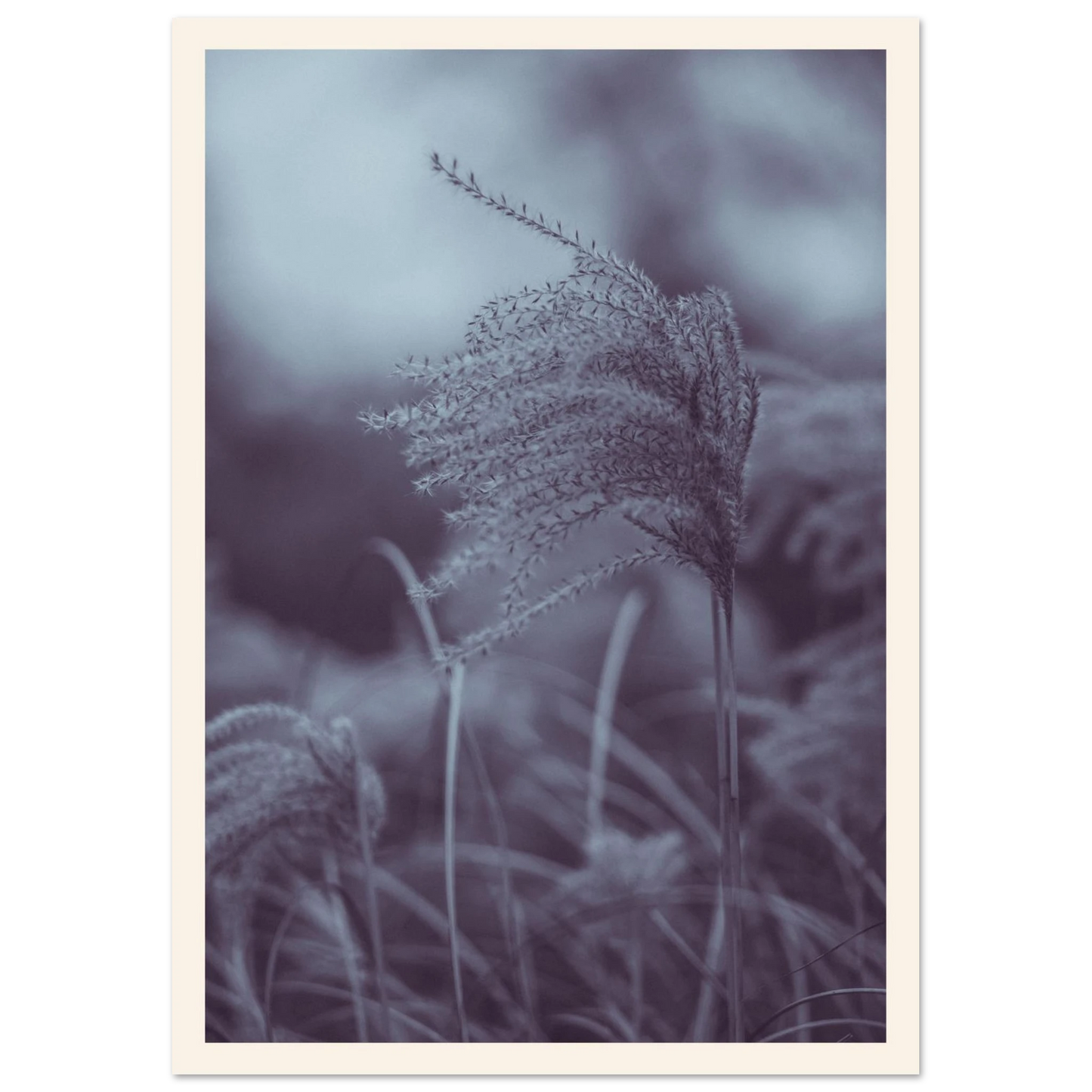 e578e307-d0b0-4a14-8b35-7347857a1c08